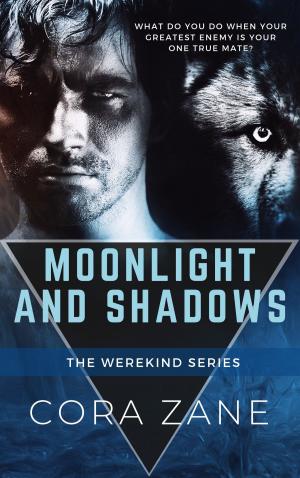 Book cover of Moonlight and Shadows
