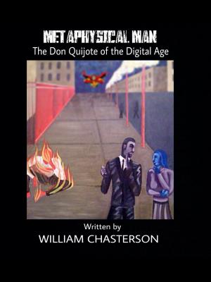 Book cover of Metaphysical Man The Don Quijote Of The Digital Age