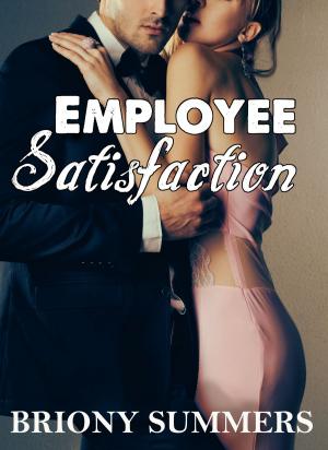 Cover of the book Employee Satisfaction by K.M. Golland