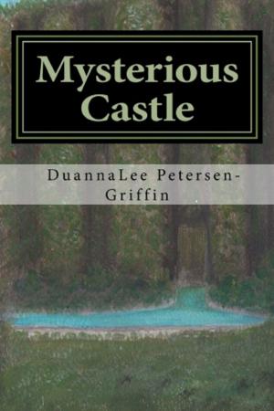 bigCover of the book Mysterious Castle by 