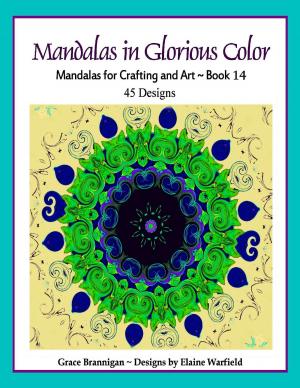 Book cover of Mandalas in Glorious Color Book 14