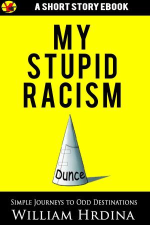 Book cover of My Stupid Racism