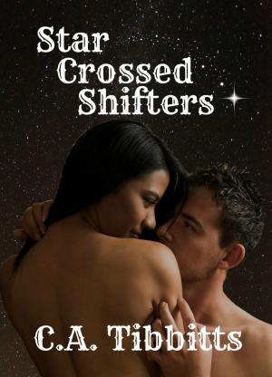 Cover of the book Star Crossed Shifters by Erica Ridley, Ava Stone, Elizabeth Essex