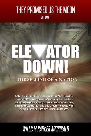 Book cover of Elevator Down (The Selling of a Nation)