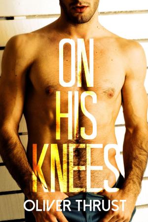 Cover of the book On His Knees by Veronica Blaque