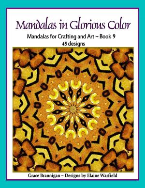Book cover of Mandalas in Glorious Color Book 9