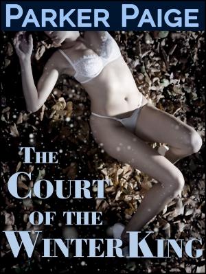 Book cover of The Court of the Winter King