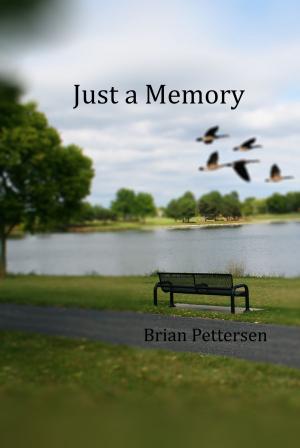 Book cover of Just a Memory