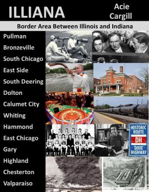 bigCover of the book Illiana: The Border Area Between Illinois and Indiana by 
