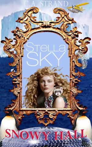 bigCover of the book Stella Sky: Snowy Hall by 