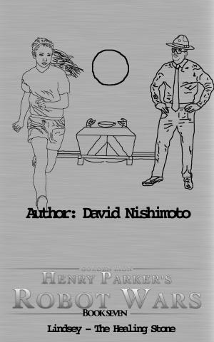Cover of the book Lindsey: The Healing Stone by David Nishimoto