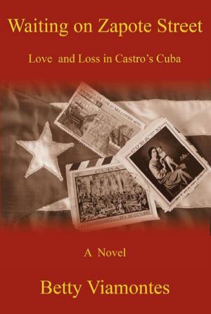 Cover of the book Waiting on Zapote Street: Love and Loss in Castro's Cuba by ELLEN ANDERSON, Katie Wyatt