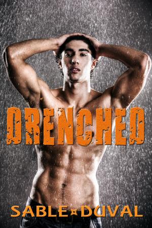 Cover of the book Drenched by Annabelle James