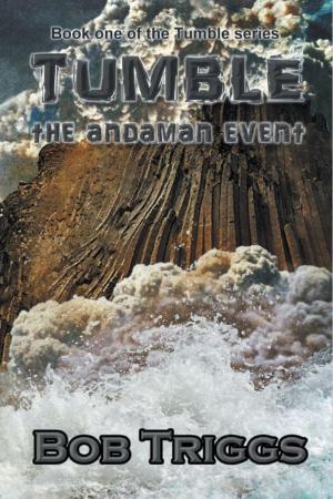 Cover of the book Tumble: The Andaman Event by James Erith