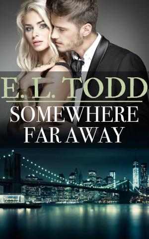 Cover of the book Somewhere Far Away by E. L. Todd
