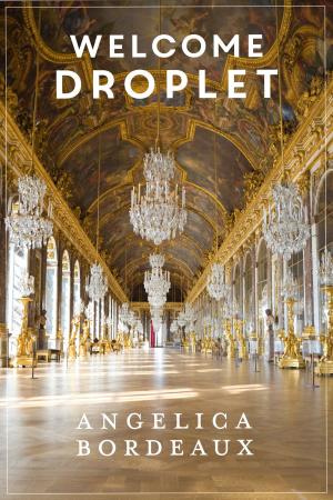 Cover of the book Welcome Droplet by Natalia Napoli