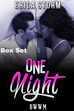 Cover of the book One Night Box Set by Erica Storm