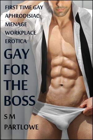 Book cover of Gay for the Boss (First Time Gay MMM Menage Billionaire Workplace Erotica)