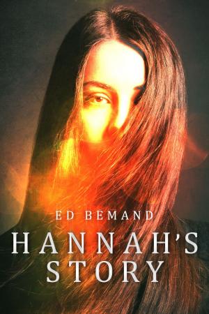 Cover of the book Hannah's Story by Kate Hewitt