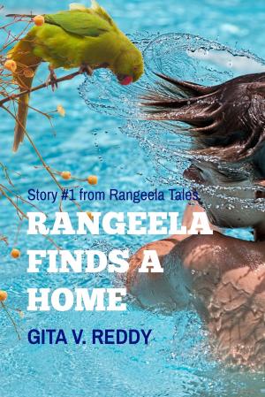 Book cover of Rangeela Finds a Home -Story 1 in the Rangeela Tales Series