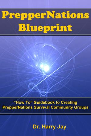 Cover of the book PrepperNations Blueprint by Lucinda Cross