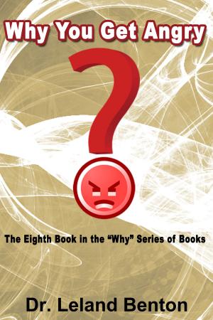 Cover of the book Why You get Angry by Noah Pranksky