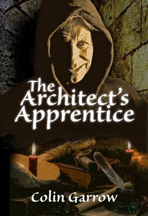 Book cover of The Architect's Apprentice