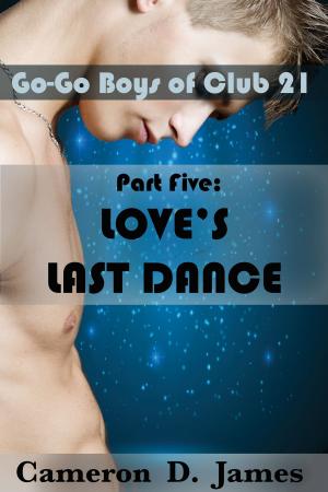 Book cover of Love's Last Dance