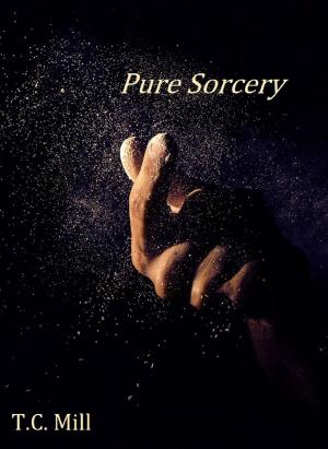 Book cover of Pure Sorcery