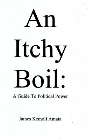Cover of the book An Itchy Boil: A Guide To Political Power by James Kemoli Amata