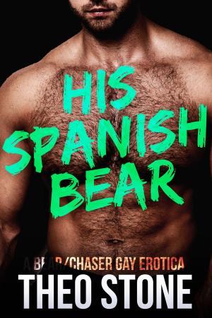Book cover of His Spanish Bear
