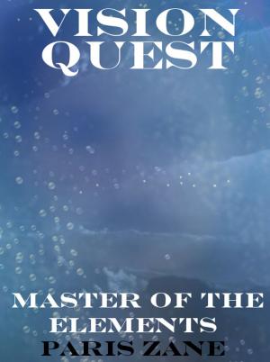 Cover of the book Vision Quest by Alison Reddick