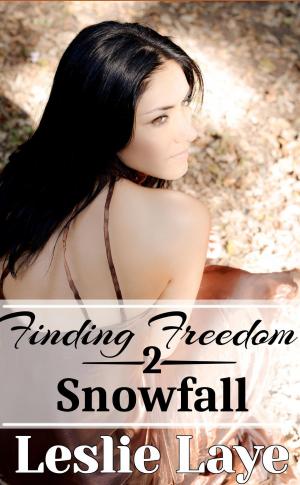 Cover of the book Finding Freedom 2: Snowfall by Cynthia Canboni