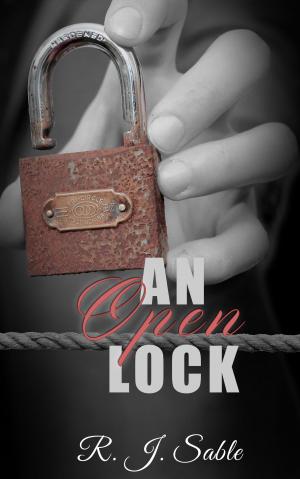 Cover of the book An Open Lock by Patty Marie