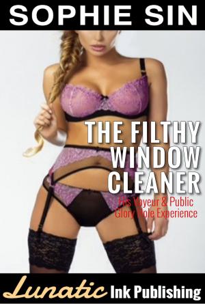 Book cover of The Filthy Window Cleaner