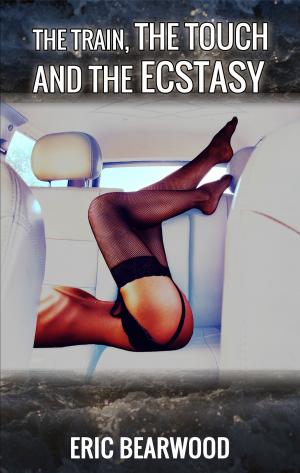 Cover of the book The Train, the Touch and the Ecstasy by Lex Hunter