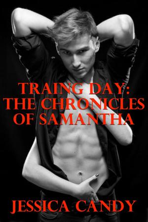 Cover of the book Training Day: The Chronicles Of Samantha by Helen Keating