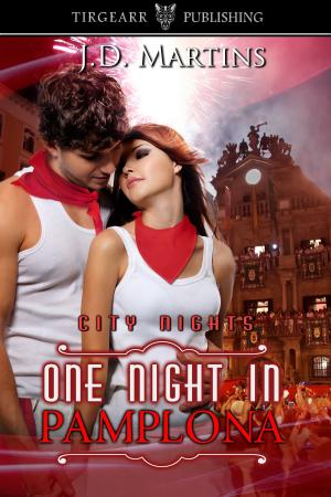Cover of One Night in Pamplona