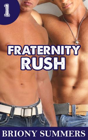 Cover of the book Fraternity Rush by Heidi Wessman Kneale