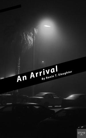Cover of the book An Arrival by Jenna Castille