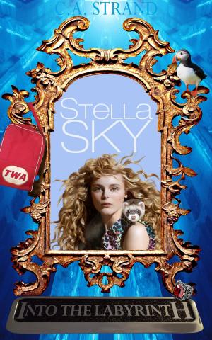 Cover of the book Stella Sky: Into the Labyrinth by Anthony Balducci