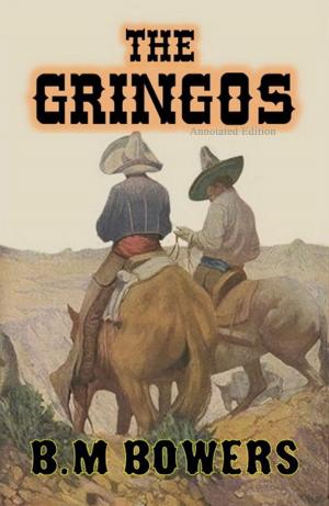 Cover of the book The Gringos (Annotated & Expanded Edition) by Robin Rance