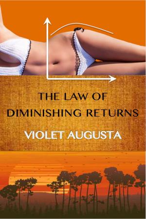 bigCover of the book The Law Of Diminishing Returns by 