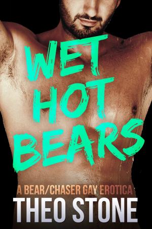 Book cover of Wet Hot Bears