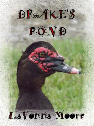 Cover of the book Drake's Pond by Carletta Mckinney