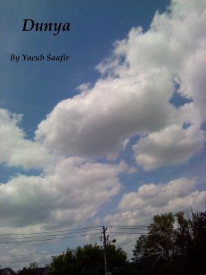 Cover of the book Dunya by Yacub Saafir