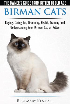 Cover of Birman Cats: The Owner's Guide from Kitten to Old Age - Buying, Caring For, Grooming, Health, Training, and Understanding Your Birman Cat or Kitten