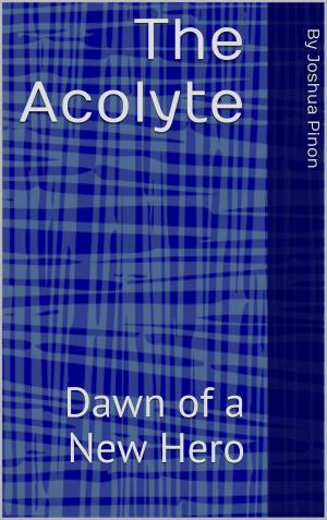 Cover of the book The Acolyte Dawn of A New Hero by Justin Bruystens