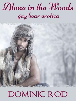 Cover of the book Alone in the Winter (Gay Bear Erotica) by Dean Wesley Smith