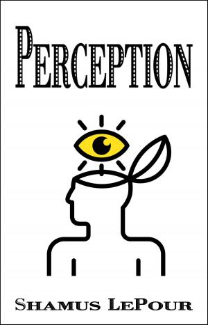 Cover of the book Perception by Dudley Lynch
